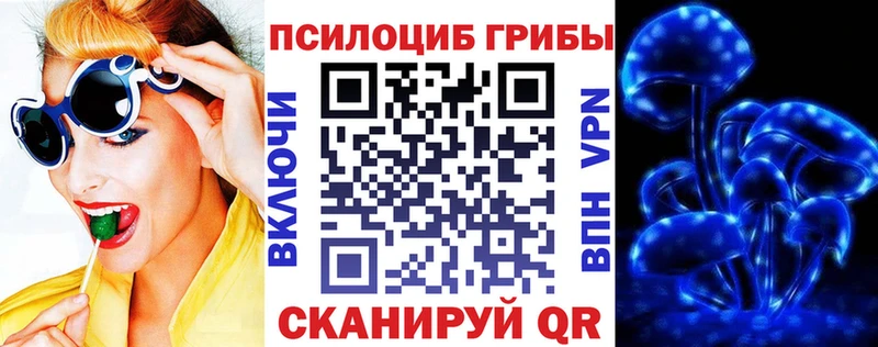blacksprut маркетплейс  как найти закладки  Заречный  Псилоцибиновые грибы Magic Shrooms 